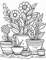 Plants Color Sheets Free  Printable sketch template