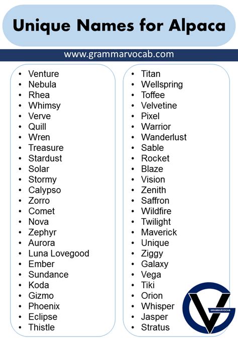 List Of Names for Alpaca - Naming Ideas - GrammarVocab