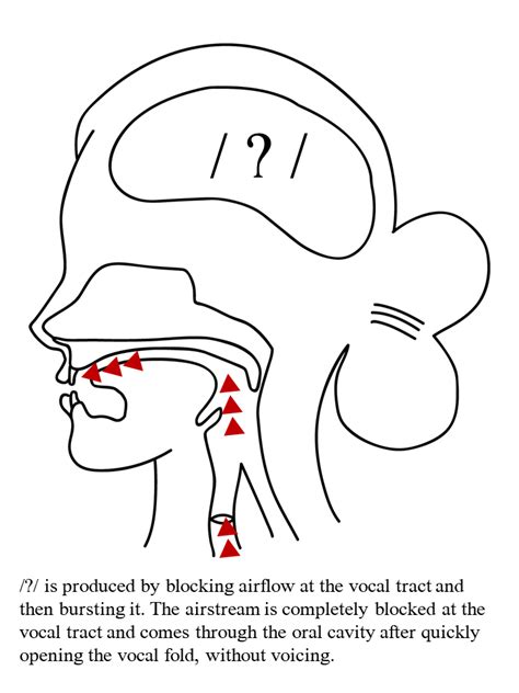 Navajo Monophthongs