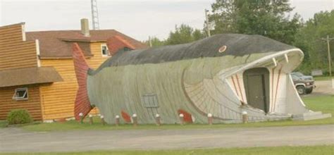 21 Ususual and strange house designs | Curious, Funny Photos / Pictures