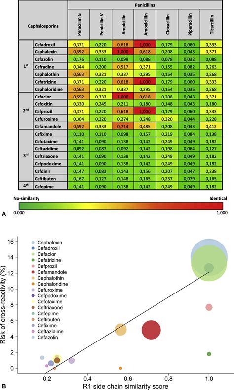 Penicillin allergy cross reactivity - showslomi