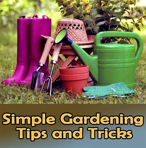 Quiet Corner:Simple Gardening Tips and Tricks - Quiet Corner