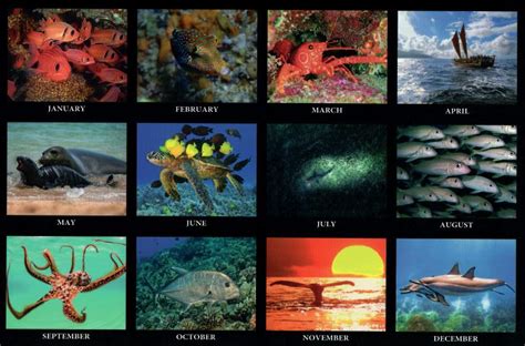 2023 Hawaii Fishing Calendar Tide Moon Wandkalender