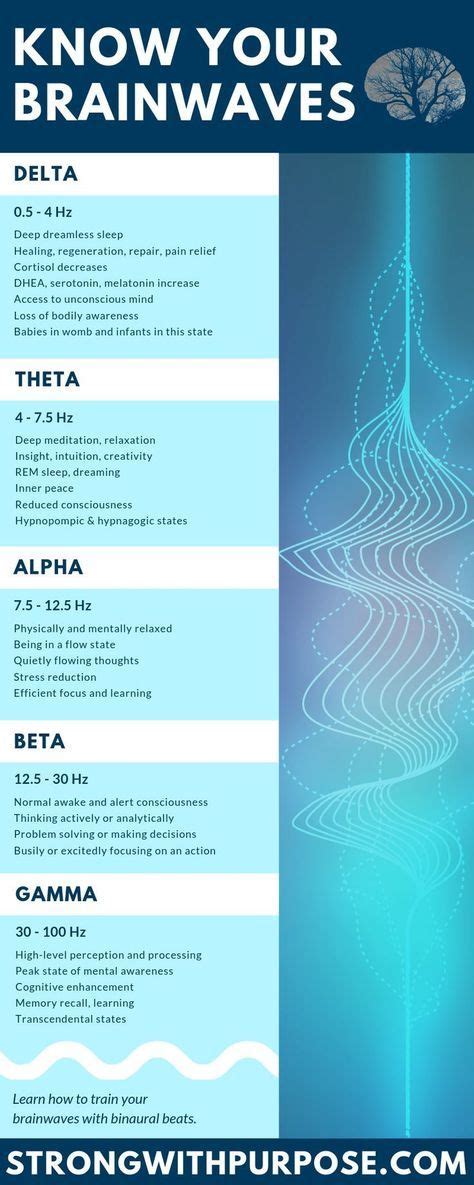 Infographic about delta, theta, alpha, beta, and gamma brainwaves ...