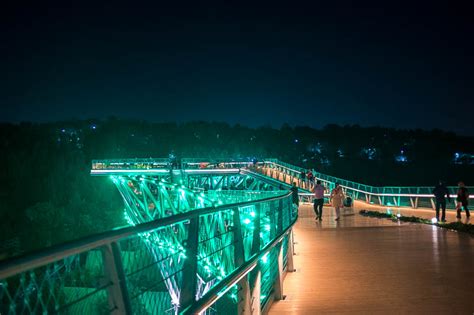 Tabiat Bridge, Tehran's Architectural Masterpiece - The City Lane