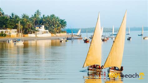 Lamu beach