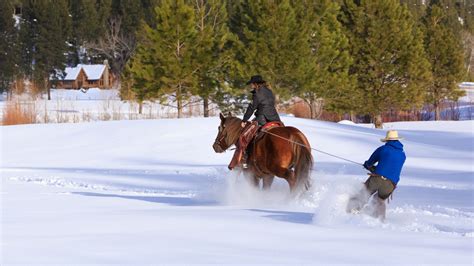 Triple Creek Ranch, USA – Robb Report UK