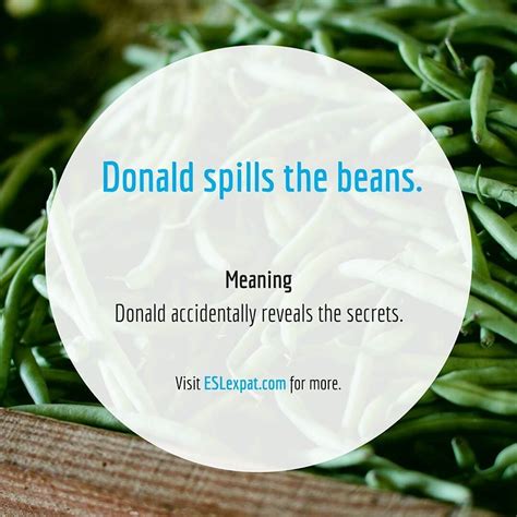 IDIOM: "spill the beans" #idioms #follow4follow #learningenglish # ...