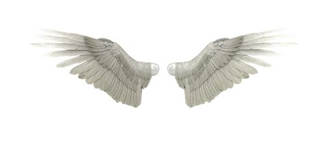 Angel Wings by GRAPHICSOUL on DeviantArt