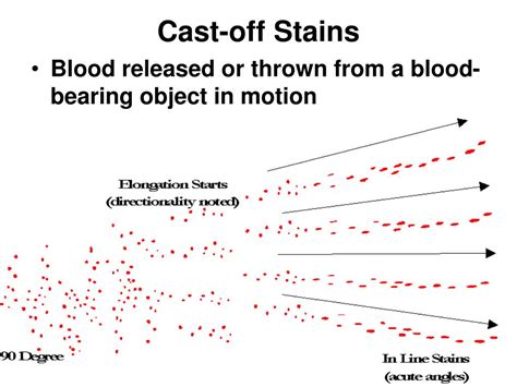 PPT - BLOODSTAIN PATTERN ANALYSIS PowerPoint Presentation, free download - ID:504114