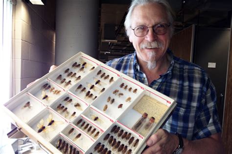 Returning cicadas become smorgasbord for predators | Cornell Chronicle