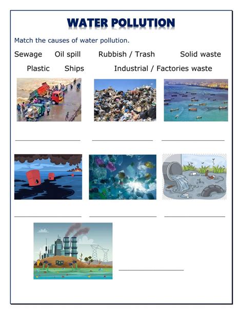 Water Pollution Activity Worksheets