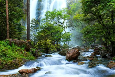 Download Green River Nature Tree Stream Forest Waterfall HD Wallpaper