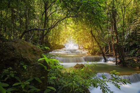 Beautiful waterfall nature scenery of colorful deep forest in summer day 11976155 Stock Photo at ...