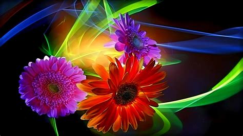 3d wallpapers colorful abstract flowers wallpaper. | Wallpaper ...