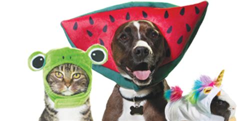 Pet Supplies, Pet Food, and Pet Products | Petco