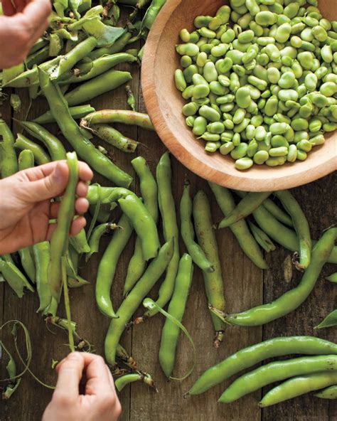 15 Fava Bean Recipes You Need to Try This Spring | Martha Stewart