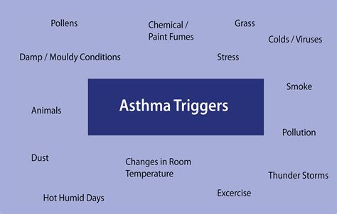 Asthma Triggers - Asthma Relief Charity