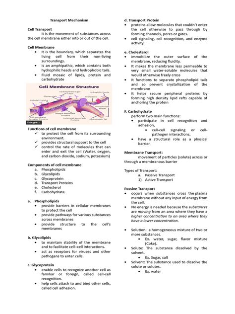 Transport Mechanism | PDF | Cell Membrane | Cell (Biology)