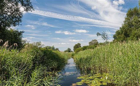 Wicken Fen National Nature Reserve | Visit East of England