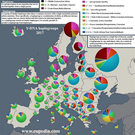 Dominant Y-DNA haplogroups in Europe and the Middle East - Vivid Maps | Europe map, Map, Dna history