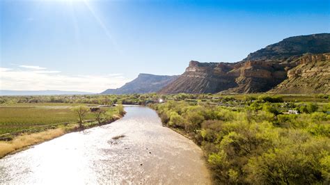 Visit Palisade, Colorado