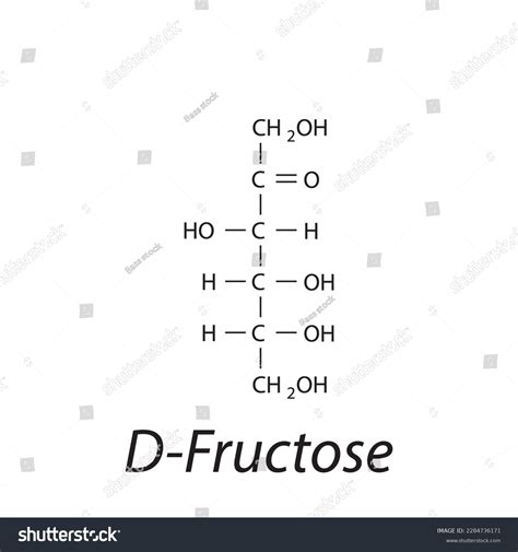 Straight Chain Form Chemical Structure Dfructose: เวกเตอร์สต็อก (ปลอด ...