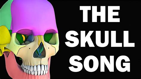 THE SKULL BONES SONG - YouTube