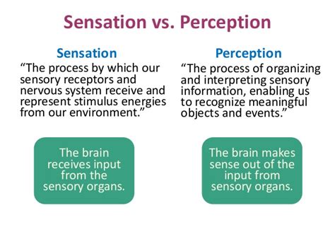 SENSATION AND PERCEPTION