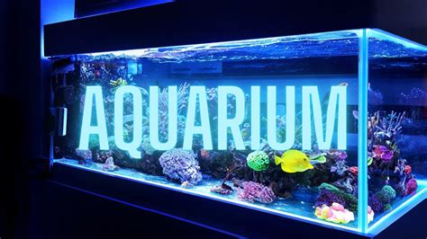 Aquarium [Ambient Screensaver - 8 hours] - YouTube