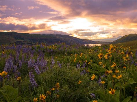 Portland, Oregon: Great Day Trips for Nature-Lovers - Photos - Condé Nast Traveler