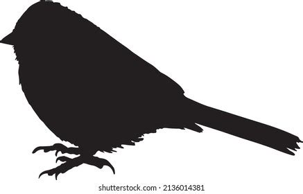 Bird Silhouette Vector Black White Stock Vector (Royalty Free) 2136014381 | Shutterstock