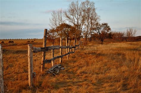 Old Fence In Field Free Stock Photo - Public Domain Pictures