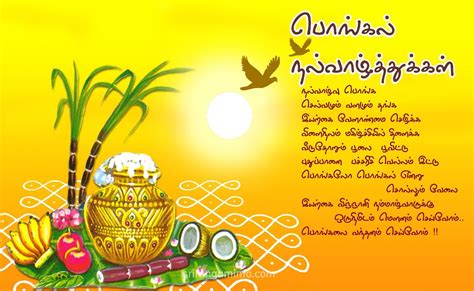 Pongal Images, Pictures & Wishes 2023 - {Thai Pongal Festival History}