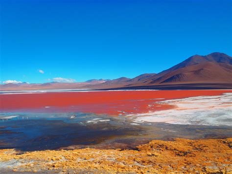 PHOTO OF THE WEEK: Laguna Colorada, Bolivia | Cheap places to travel, Places to travel, Natural ...