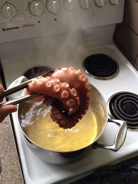 15 seconds later | How to cook octopus, Cooking, Food