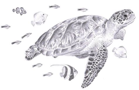 Sea Turtle Tattoo, Turtle Tattoo Designs, Sea Turtle Art, Green Sea Turtle, Sea Turtles, Sea ...