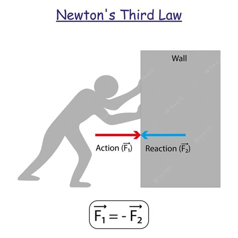 Premium Vector | Newton's third law experiment statement examples and equation study content for ...