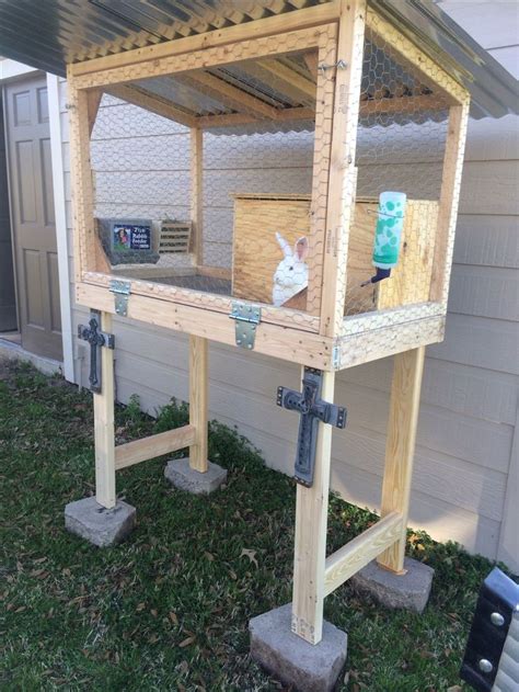 How To Set Up An Outdoor Rabbit Cage at Zaida Wright blog