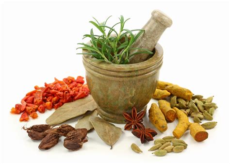 DPL-Surveillance-Equipment.com: Ayurvedic (Holistic) Medicine Has 5000 ...