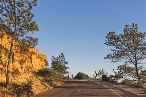 Torrey Pines Hike, La Jolla » Easy Hikes in San Diego