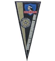 Shop 2015's TOP-RATED Custom Made Pennant Flags