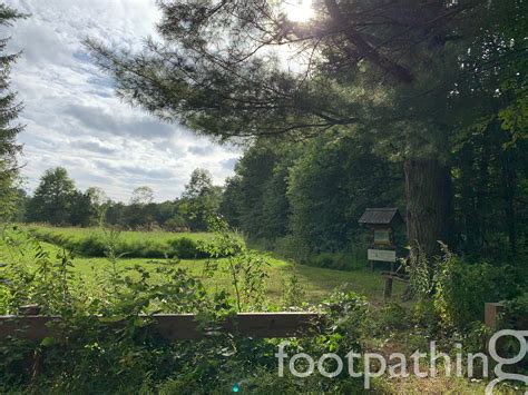 Cedar Ridge Preserve Trail | footpathing