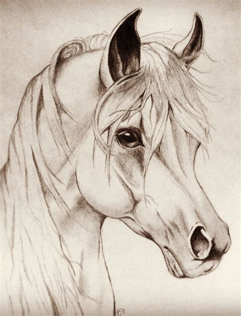 Horse Head Drawing Easy at GetDrawings | Free download