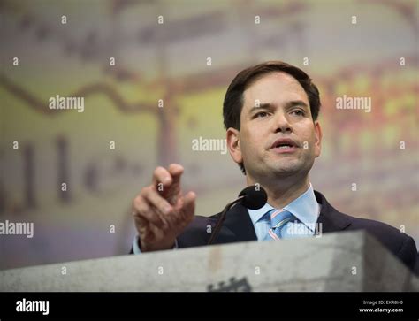 Senator MARCO RUBIO of Florida has told his top donors that he is ...