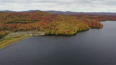 Discover fall foliage maps and where to see the fall foliage | Fox Weather