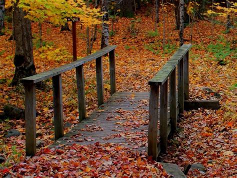 Franklin Lake Campground | Eagle River | Northwoods Wisconsin