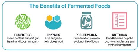 What’s the Fuss About Fermented Foods? | Mount Alvernia Hospital Singapore