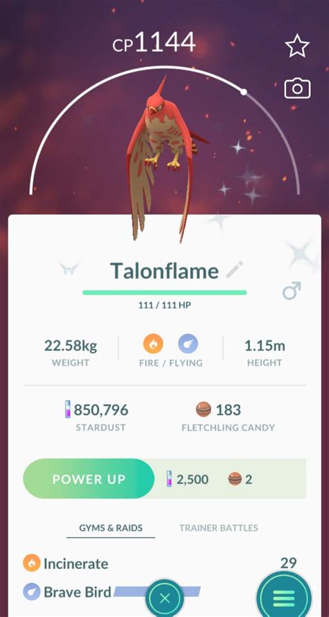 Pokémon GO screenshot of Shiny Talonflame with the Pokémon GO Community Day exclusive move ...