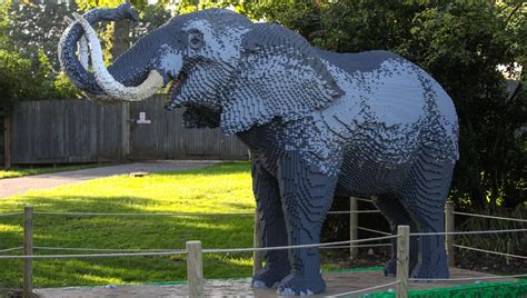 LEGO. Animals. LEGO Animals. Marwell's Great Brick Safari Has It All ...